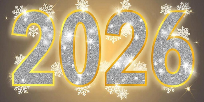 С новым 2026 годом